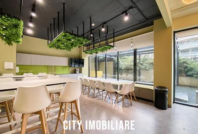 Spatiu comercial 250 mp + terasa 70 mp, Grigorescu, Parter, Ideal HoReCa   Showr - 20