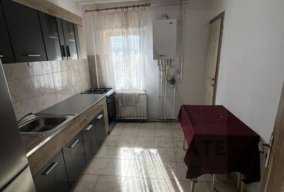 Apartament 3 camere 70 mp Terezian - 11