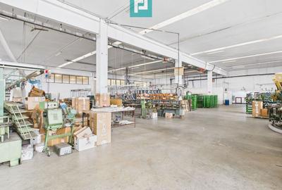 Hală de producție, cu birouri și teren, în Sebiș - 17