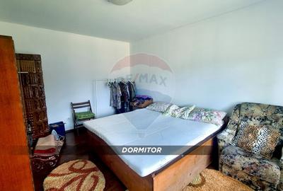 DE VANZARE PROPRIETATE DEOSEBITA LA TARA - 18