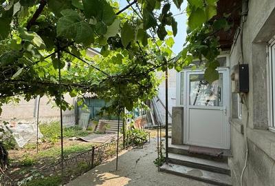 CASA DE VANZARE - INEL 1 - 3 CAMERE+ANEXE - - 1