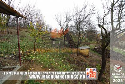 Casa Albota, Mares, 260 mp construiti, 1700 mp teren - 9