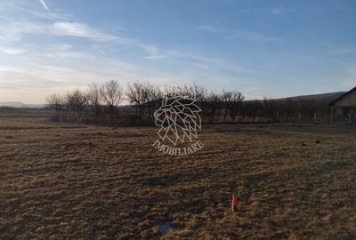 Teren 3500 mp-livada-Rusu Bargaului 13km de Bistrita - 2