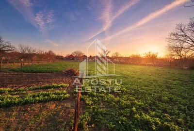 Casă individuală cu etaj, teren 3000 mp, grădină și solar – Satchinez - 4