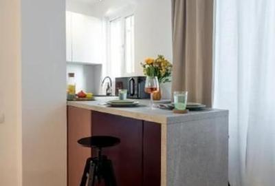 Studio premium, Ultracentral ideal inchiriere, regim hotelier - Cișmigiu - 5