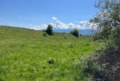 Vand teren intravilan - 3