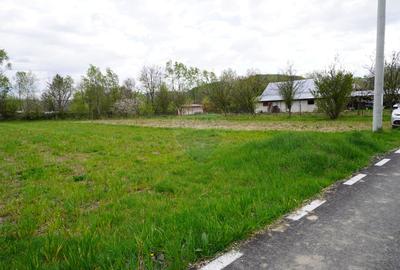 Teren Intravilan de 2.216 mp în Sarasău - 5