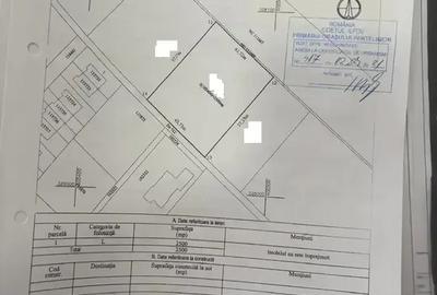 Oportunitate Teren Case Individuale sau Duplexuri Padurea Cernica 300m - 1