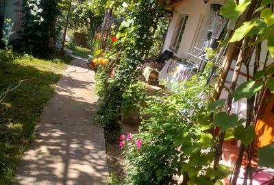 Casa si teren com Zanesti - 1