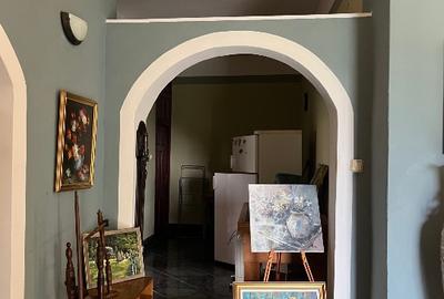 Casă de vânzare – Locație ultracentrală în stațiunea balneoclimatică Tășnad - 8