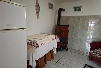 Casa Gugesti, sat Oreavu, 1870 mp teren - 11