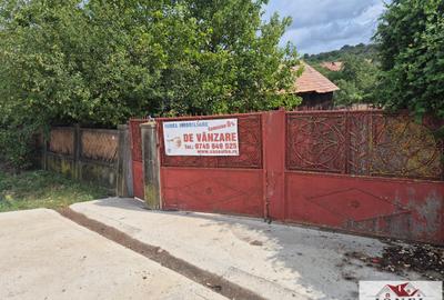 Vanzare casa in Henig 1700 mp teren - 10