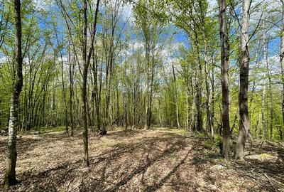 TEREN EXTRAVILAN | 103.000mp | BALANACA-GROSI | PASUNE | PASUNE IMPADURITA | BIH - 6