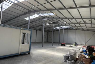 Ovidiu, parc industrial, constructie 2025, 120-1160 mp. - 3