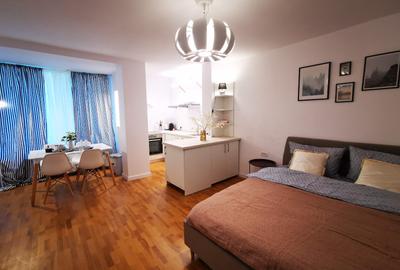 Apartament 1 camera Bulevardul Take Ionescu / Medicina ! - 5