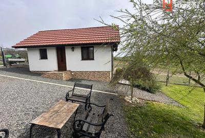 Casa de vacanta cu teren de 2344 mp - zona Nadas - 1