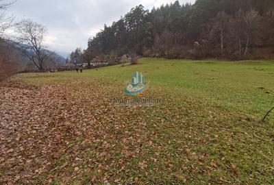 Teren Straja – Pangarati 3560 m, zona de Pensiune - 10