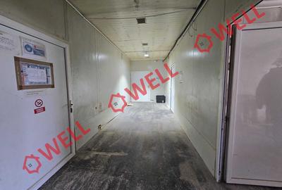 Hală industrială de vânzare în Sita Buzăului! - 9