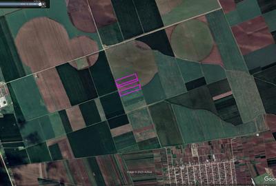 Teren de vânzare – Deveselu, jud. Olt – 120.000 mp | Doar 2.7€/mp - 1