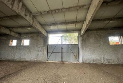 Hala Industrială / Agricolă | 800 MP Construcție + 800 MP Teren | - 3