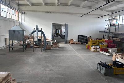 Hala industriala de vanzare in Marghita – 930 mp utili, teren 2470 mp, toate uti - 21