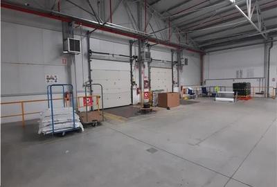 Spatiu Industrial - 6500 mp - Productie - Depozitare - 8