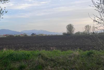 Teren 50000mp Extravilan-Intrare Halchiu-Cod 5235 - 1