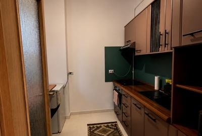 Inchiriere apartament 1 camera  mobilat si utilat zona Parcului Armatura - 3
