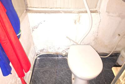 Inchiriez sau vand spatiu comercial in Deva, zona Balcescu (Astoria), - 5