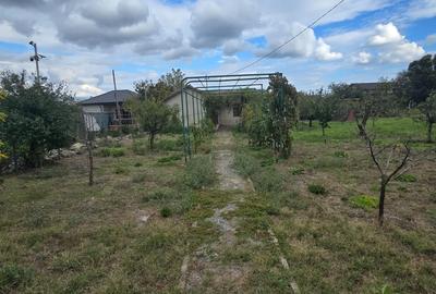 Exclusivitate-Vadu, zona centrala, casa 75mp, teren 1917 mp/31ml deschidere - 7