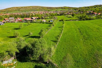FILM! 2.063 mp de refugiu natural in localitatea Zagon, Covasna - 3