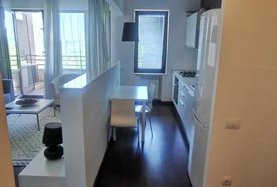Băneasa, Ale. Privighetorilor-ZOO- et. 4/7, 2 bai,terasa, mobilat, parcare.550 E - 6