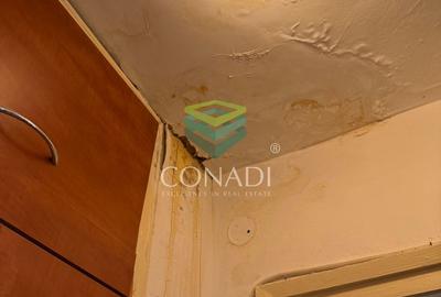 Apartament 4 camere I Calea Mosilor I Necesita Renovare! - 6