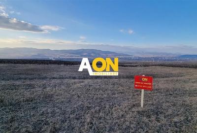 Teren Construcții intravilan de 789 mp, în Oarda