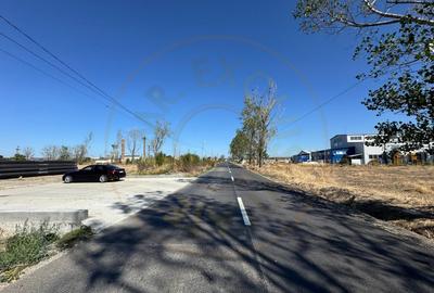 Teren extravilan de vânzare – Căteasca, Argeș | 27.201 mp | Deschidere 58,55 m - 8