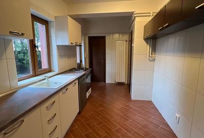 Vila de Inchiriat Iancu Nicolae - 8