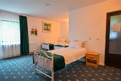 In cartea de povesti a Pietrei Craiului, ansamblu turistic in circuit,Plaiul Foi - 24