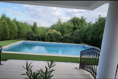 VILA IMPRESIONANTA CU ACCES LA LAC si PISCINA - 13