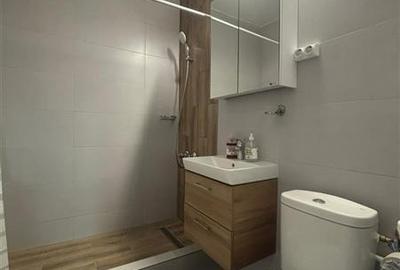 Apartament cu 2 camere de inchiriat strada Victoriei Tulcea - 11