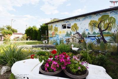 Ansamblu de proprietati in Costinesti - 19