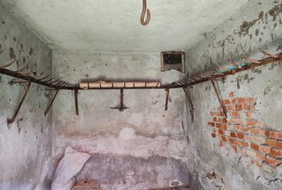Casa 3 camere libera la vanzare TARLUNGENI - 23