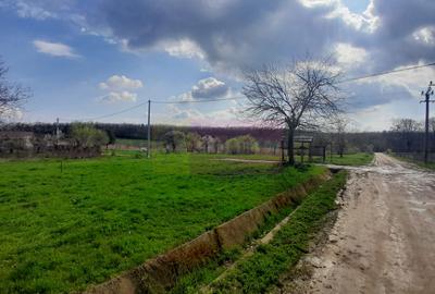 DE VANZARE TEREN 3400 MP IN SAT PODU ILFOVAT / COM BUTURUGENI (GR) - 5