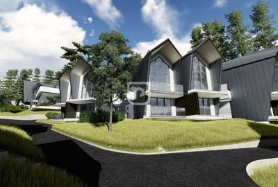 Teren - Voronet | Gura Humorului | BUCOVINA - 1