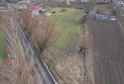 Teren de vanzare in Frecatei Tulcea - 4