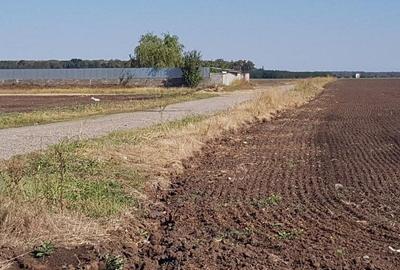 Teren Construcții intravilan de 30700 mp, în Brănești