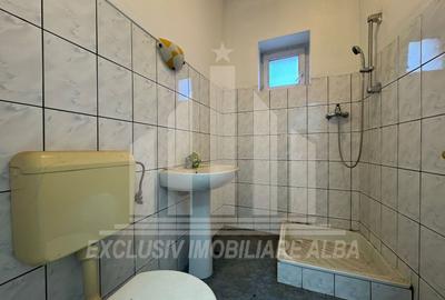 Casa individuala | Spatiu comercial | 306 mp | 415 mp teren | Maieri - 13