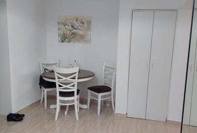 Inchiriere 2 camere zona ALBA IULIA-UNIRII - 14