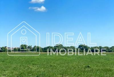 Teren 8.782 mp | 2 parcele alipite | Calea Cisnădiei – zona Seviș - 1