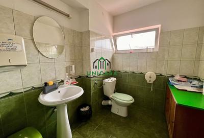 Cladire Birori/De Inchiriat/Nord - 10