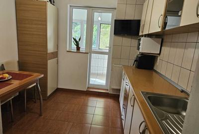 Apartament cu 3 camere de vanzare Gorjului - 6